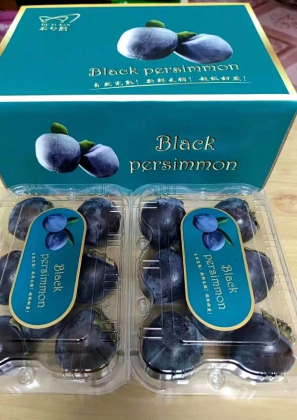 Black Persimmon Plant - Image 5