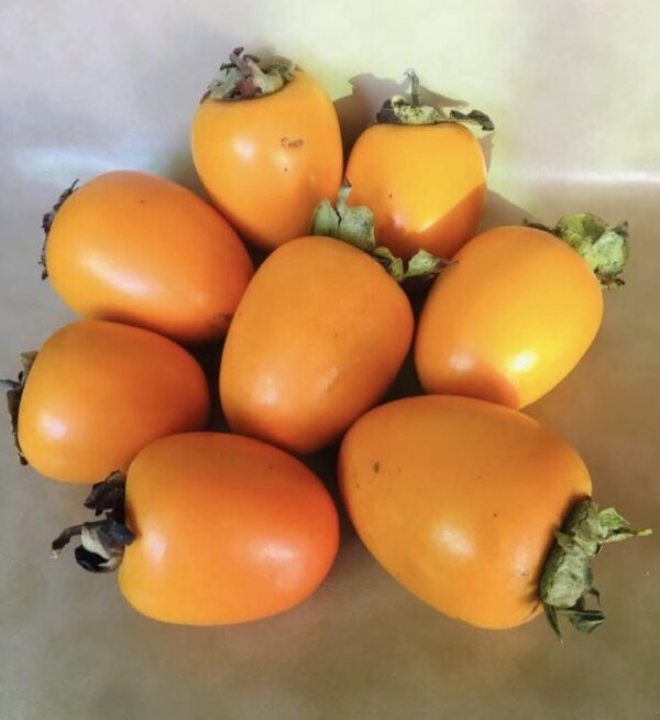 Chicken heart Persimmon Plant - Image 4