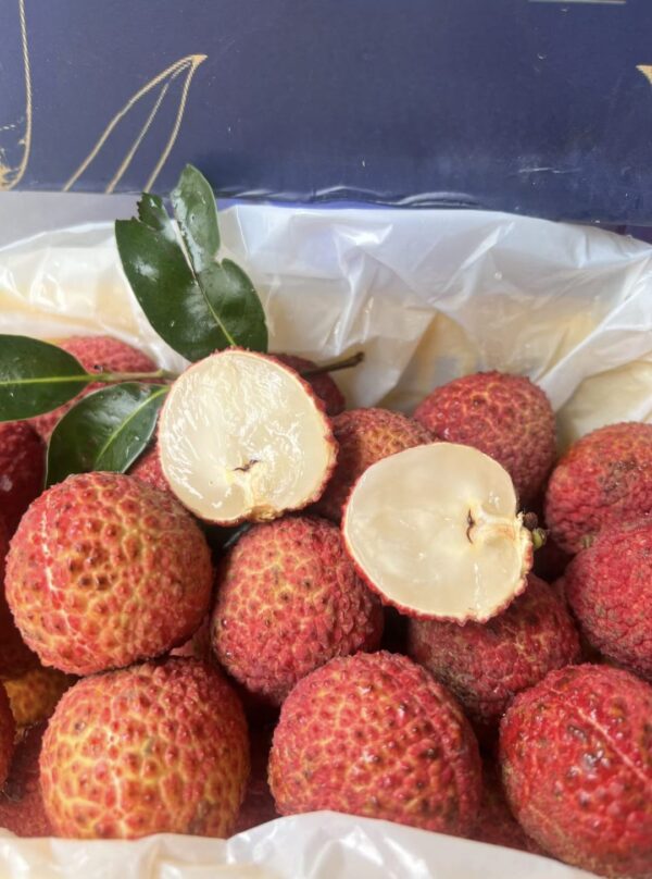 Seedless lychee Plant - Image 2