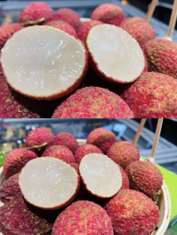 Seedless lychee Plant - Image 4